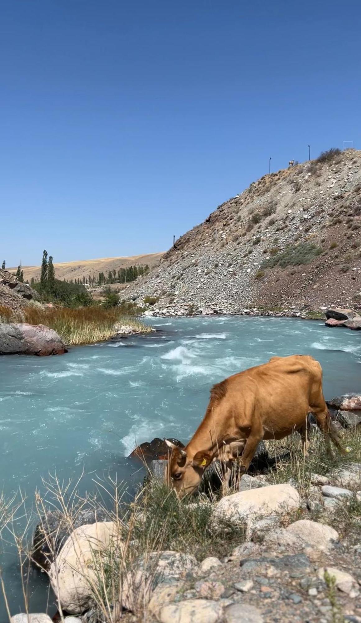 Mountain View Hot Spring Resort Kara-Bulak Екстериор снимка